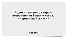 Адвокат заявил о скором возвращении Вышинского к «нормальной жизни»