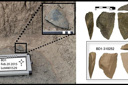 В Эфиопии найдены древнейшие режущие инструменты
