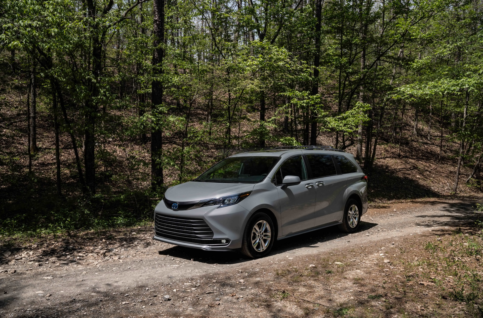  Toyota Sienna    Woodland Edition 2022    - 