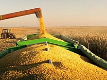 "Известия": аномально теплая погода угрожает урожаю