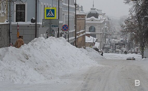 "Аномальная" зима поможет будущему урожаю в Татарстане