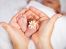 В московских загсах отмечается беби-бум