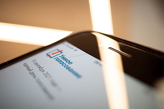 Зеркальные обвинения: как и зачем российские власти борются с «Умным голосованием»