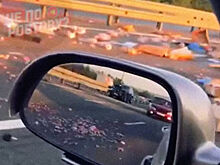 Трассу М-4 "Дон" под Ростовом засыпало курятиной после ДТП