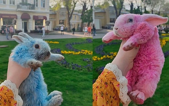 В Кисловодске можно сфотографироваться с животными экзотических расцветок