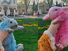 В Кисловодске можно сфотографироваться с животными экзотических расцветок