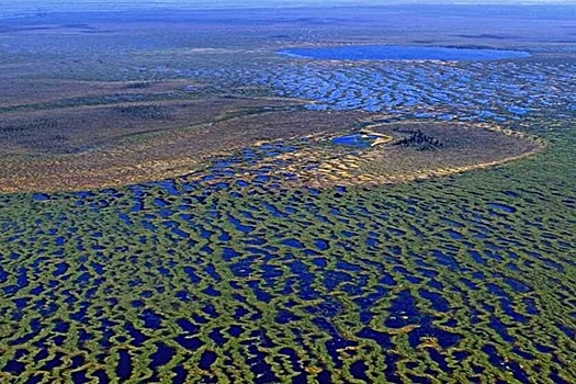 Вылазка на Васюганские болота может стать экстрим-приключением