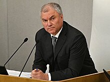 Володин назвал отсутствие геев в Госдуме одной из причин выхода России из ПАСЕ