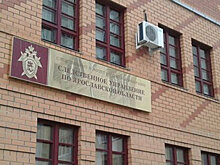 Треш-стримеры в Ярославле изнасиловали многодетную мать за донаты