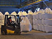 Кабмин установил квоты на вывоз из России одного товара