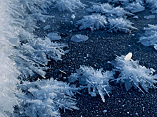 В Курске на реке Сейм расцвели снежные цветы