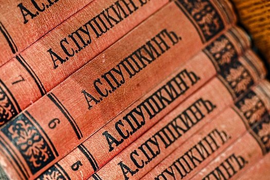 По Франции прокатилась волна краж редчайших книг русских классиков