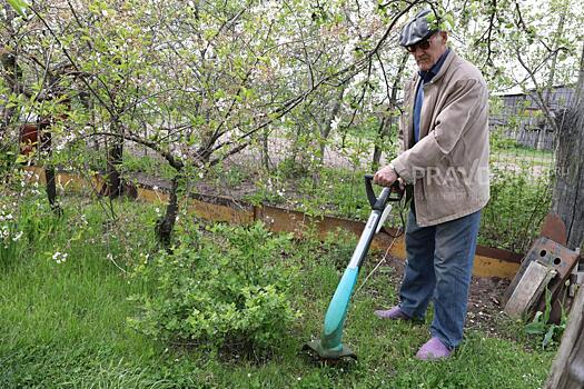 Ближе к земле: в Нижегородской области насчитали 295 тысяч дачников