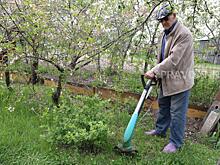 Ближе к земле: в Нижегородской области насчитали 295 тысяч дачников