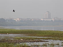Кемеровчане пожаловались на постоянный "запах гари с примесью химии" с неработающего предприятия