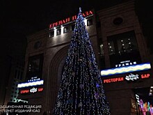 В Петербурге открылись 70 елочных базаров