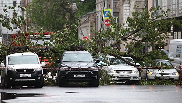 В Москве заплатят компенсации семьям погибших от урагана