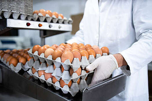 Сенатор Митин: цены на яйца в России снизятся весной