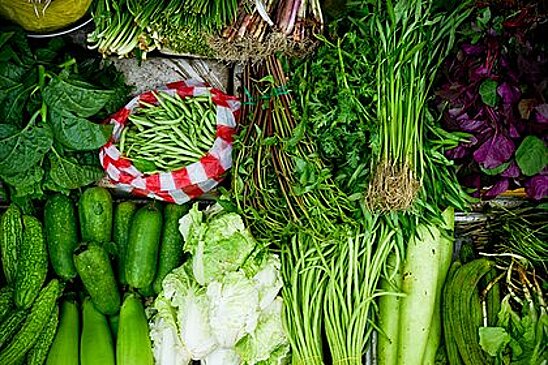 Диетолог перечислила запрещенные для заморозки продукты
