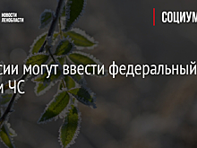 В России могут ввести режим ЧС из-за заморозков