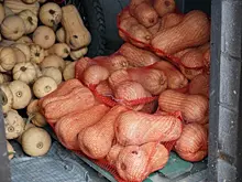 Врач назвал продукт, который помогает избавиться от лишнего веса