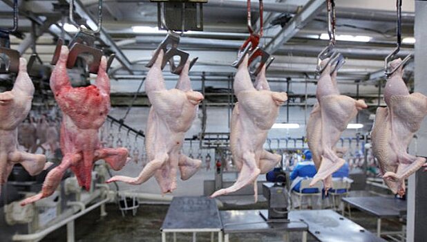 Россия с 1 декабря запретила поставки турецкой курятины