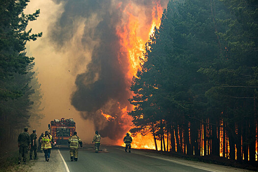 Бороться с пожарами в воронежских лесах поможет видеонаблюдение