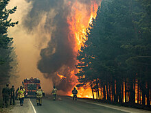 Бороться с пожарами в воронежских лесах поможет видеонаблюдение