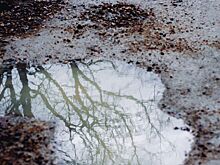 В Кизнерском районе выявили три факта сброса жидких бытовых отходов на территорию бывшего полигона