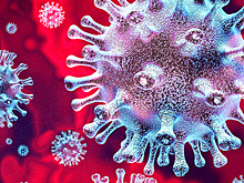 В Бердске у 40% больных ОРВИ выявили коронавирус