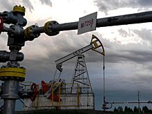 В конце ноября в России значительно выросла добыча нефти