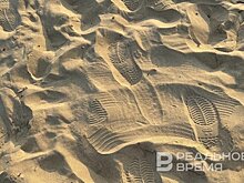 19 июня на озере Лебяжье в Казани запустят прокат пляжных колясок для людей с ОВЗ