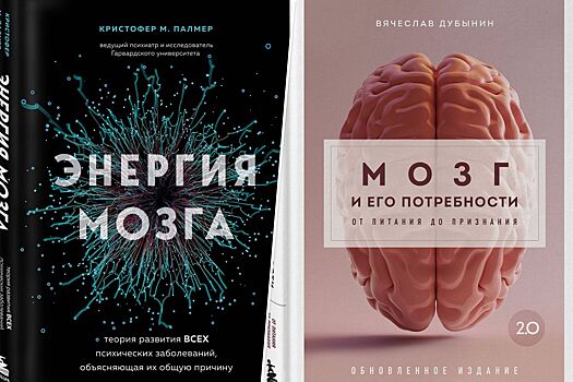 Книги о мозге человека и нейробиологии – 6 свежих книжных новинок