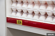 Свердловский ритейлер в два раза увеличил закуп яиц