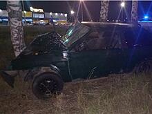 В Тольятти береза остановила парня, севшего за руль без водительских прав