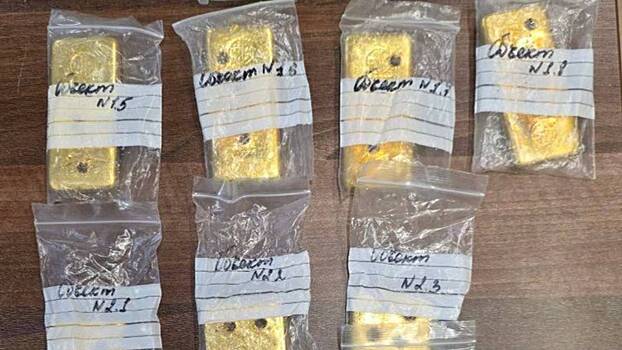 Суд рассмотрит дело китайца, у которого нашли золотые слитки на 40 миллионов