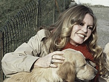 Почему Брижит Бардо предпочла мужчинам животных