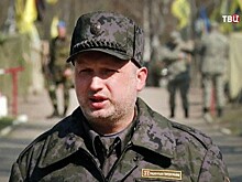Турчинов сравнил жителей Донбасса с насекомыми-вредителями