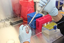 В Пензенской области выявили еще 74 случая коронавируса
