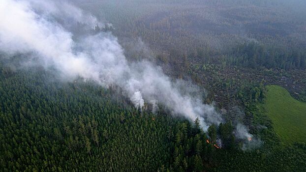 Дым от лесных пожаров в Якутии достиг Хакасии