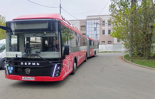 В Калуге изучат возможность возвращения автобусов-«гармошек»