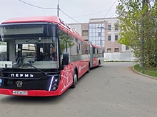 В Калуге изучат возможность возвращения автобусов-«гармошек»