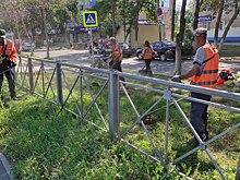 В Оренбурге ежедневно косят сорную растительность