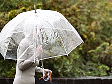 Как вернуть зонтик, взятый напрокат