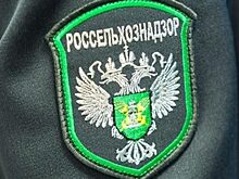 Китайским рыбкам и жукам запретили въезд в Россию