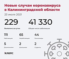 В Калининградской области выявили 229 случаев коронавируса