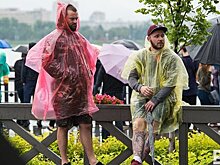 МЧС предупредило москвичей о грозе и порывах ветра до 17 м/с во второй половине дня