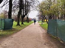 Благоустройство парка в Петербурге вызвало опасения местных жителей
