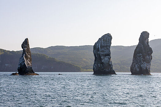 Вблизи Камчатки произошло землетрясение магнитудой 6,5