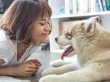 Дрессировщик призвал выгуливать собак не менее двух часов в день